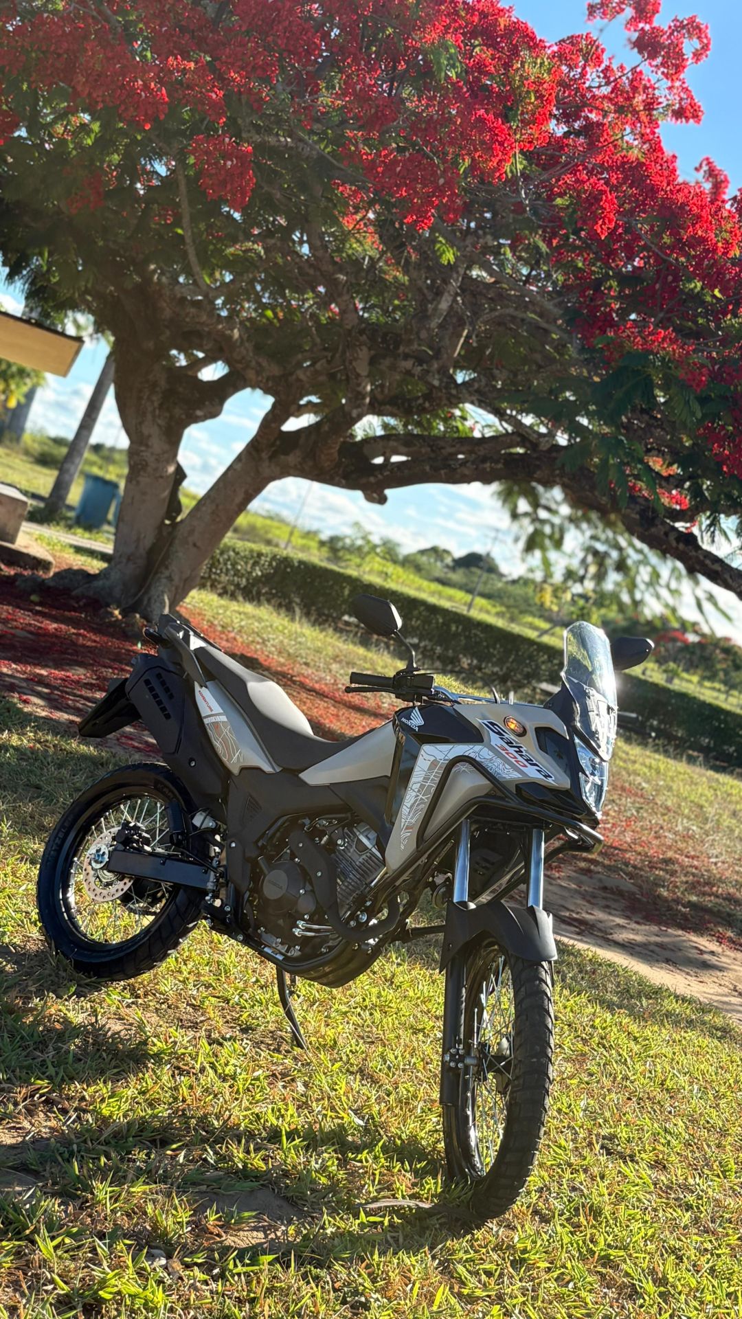 MILHAR : SAHARA ADVENTURE 2026 OU 35.000,00 MIL SORTEIO 14 DE JANEIRO 